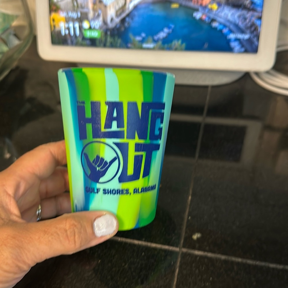 Silicone cup! This is from the hangout festival in gulf shores Alabama!